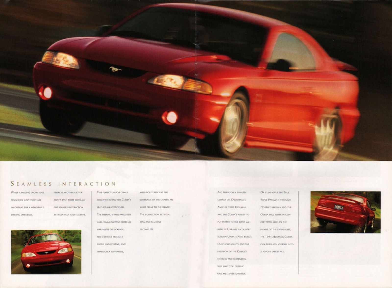 n_1994 Ford Mustang Cobra-14-15.jpg